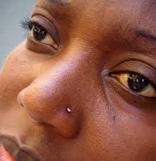 Piercing Nez